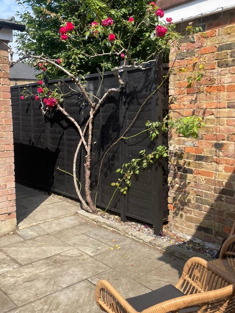 2 Bedroom House In Central Windsor - The Town 외부 사진